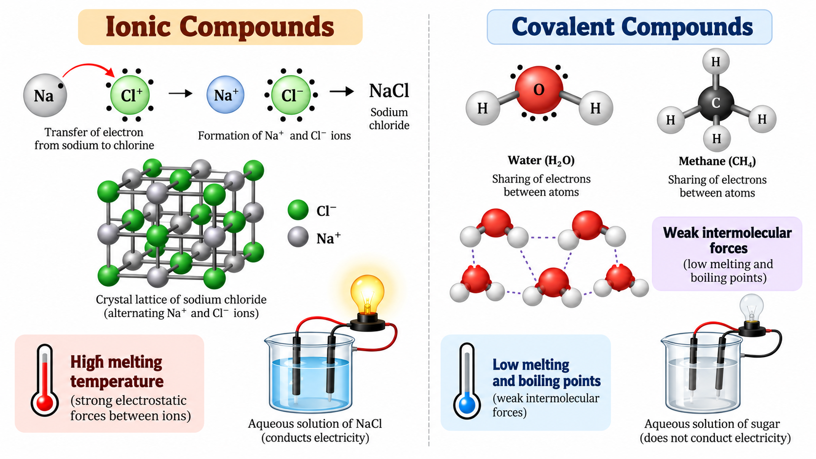 Comparison of Ionic and Covalent Compounds Infographic
